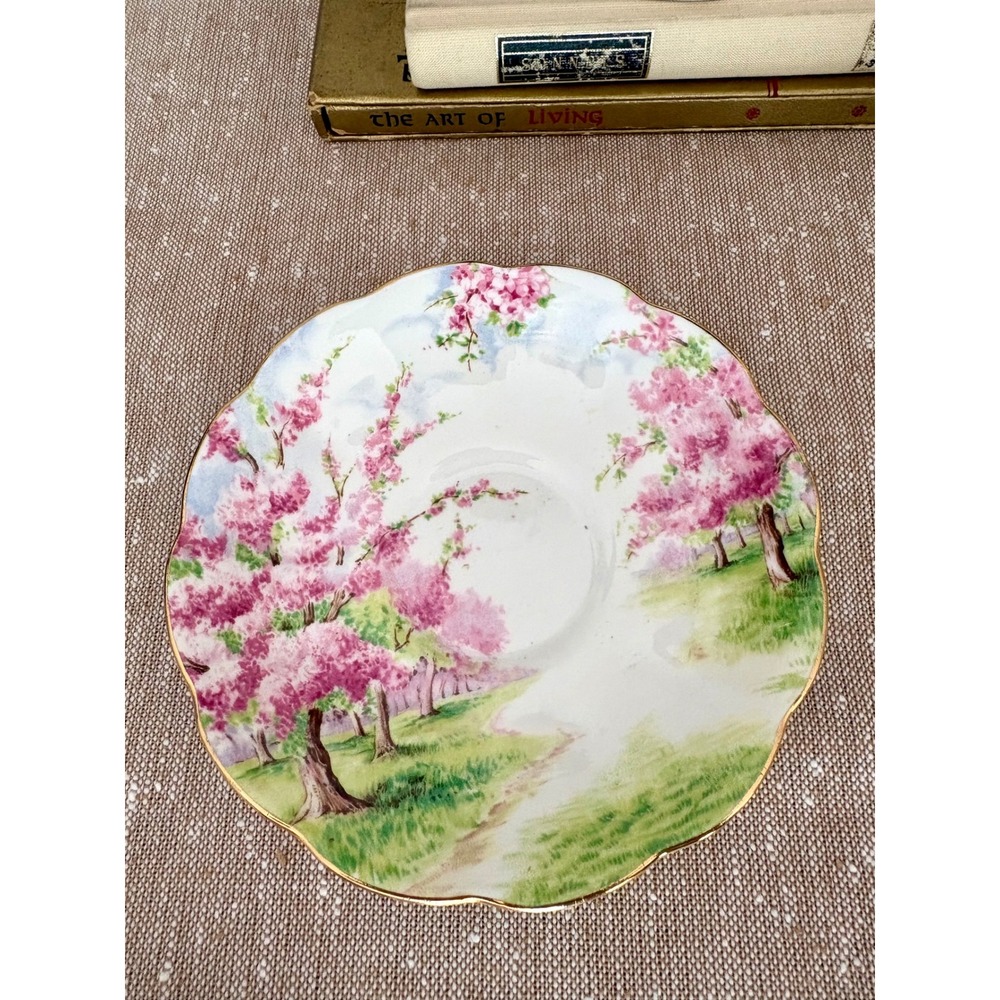 VTG Royal Albert Blossom Time Cherry Blossom Teacup Saucer Set Sakura Porcelain - Picture 15 of 17